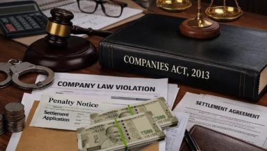 Section 186 of Companies Act 2013 Explained in Detail India